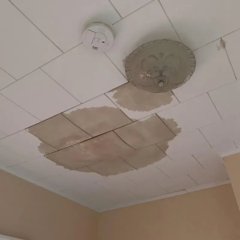 Ceiling Water Damage Repair in Cressona, PA