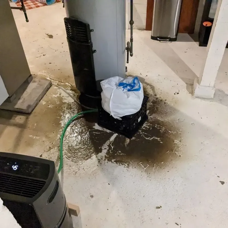 Sewage Backup Cleanup Service in Cressona, PA